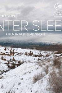 冬眠电影在线观看,在线观看,探索冰封世界的奇幻之旅 第3张 冬眠电影在线观看,在线观看,探索冰封世界的奇幻之旅 第3张