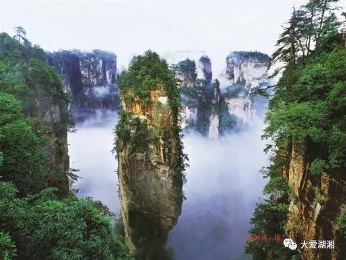 张家界吃瓜爆料新闻视频,揭秘当地美食背后的故事 第2张 张家界吃瓜爆料新闻视频,揭秘当地美食背后的故事 第2张