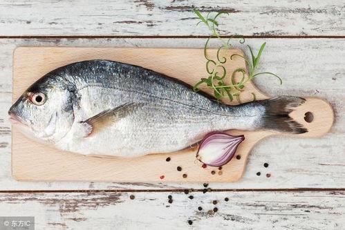 娱乐吃瓜鱼,揭秘娱乐圈那些不为人知的幕后故事  第1张