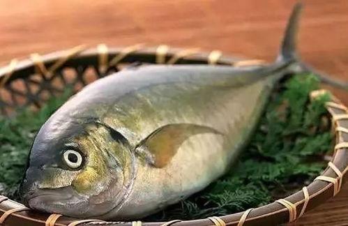 娱乐吃瓜鱼,揭秘娱乐圈那些不为人知的幕后故事  第2张